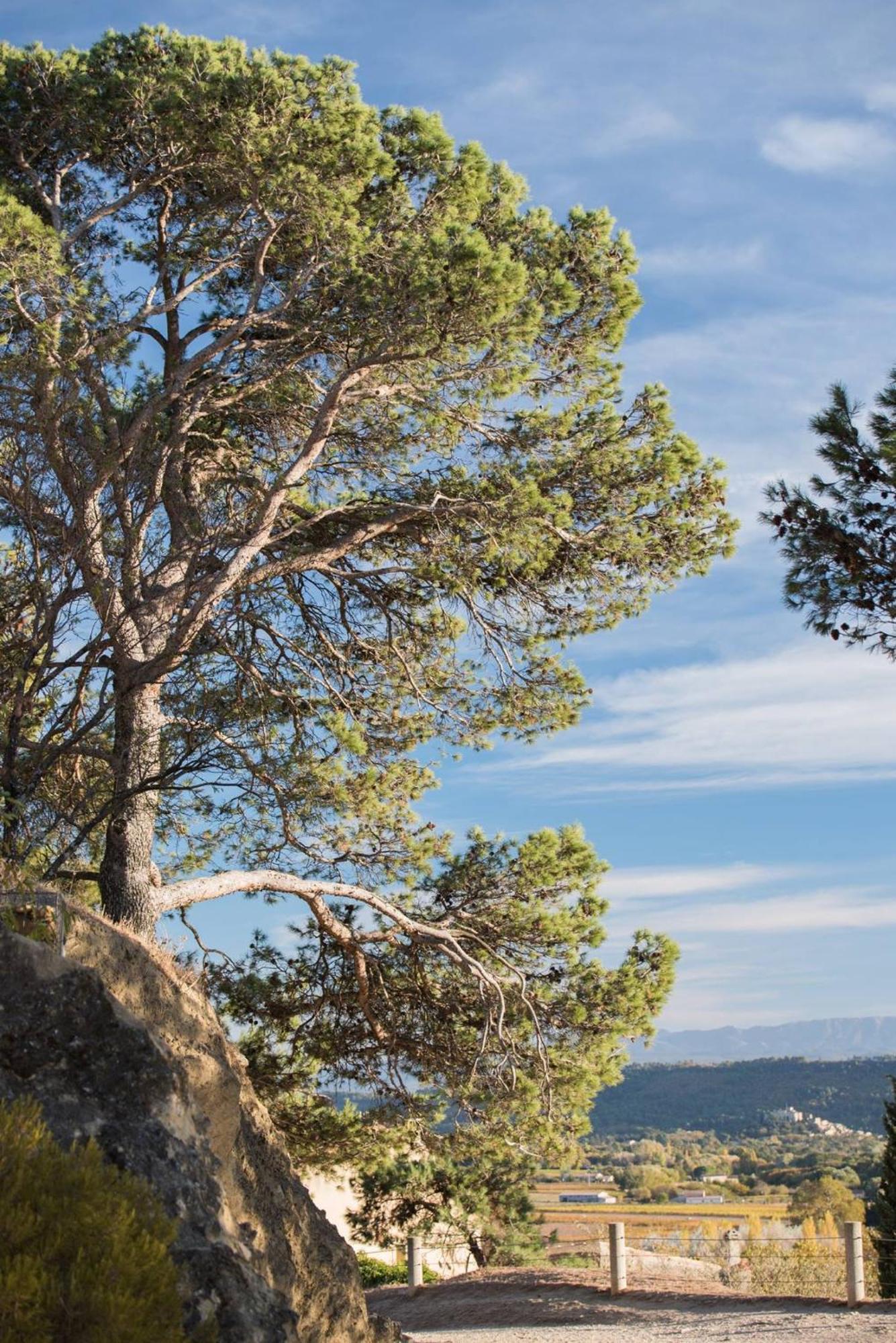 Charmante Maison De Village Au Coeur Du Luberon Cucuron Exteriör bild